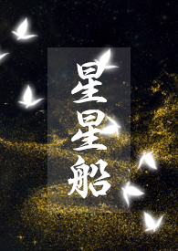 星星船骨科小说